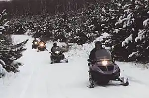 Snowmobile in the Pines